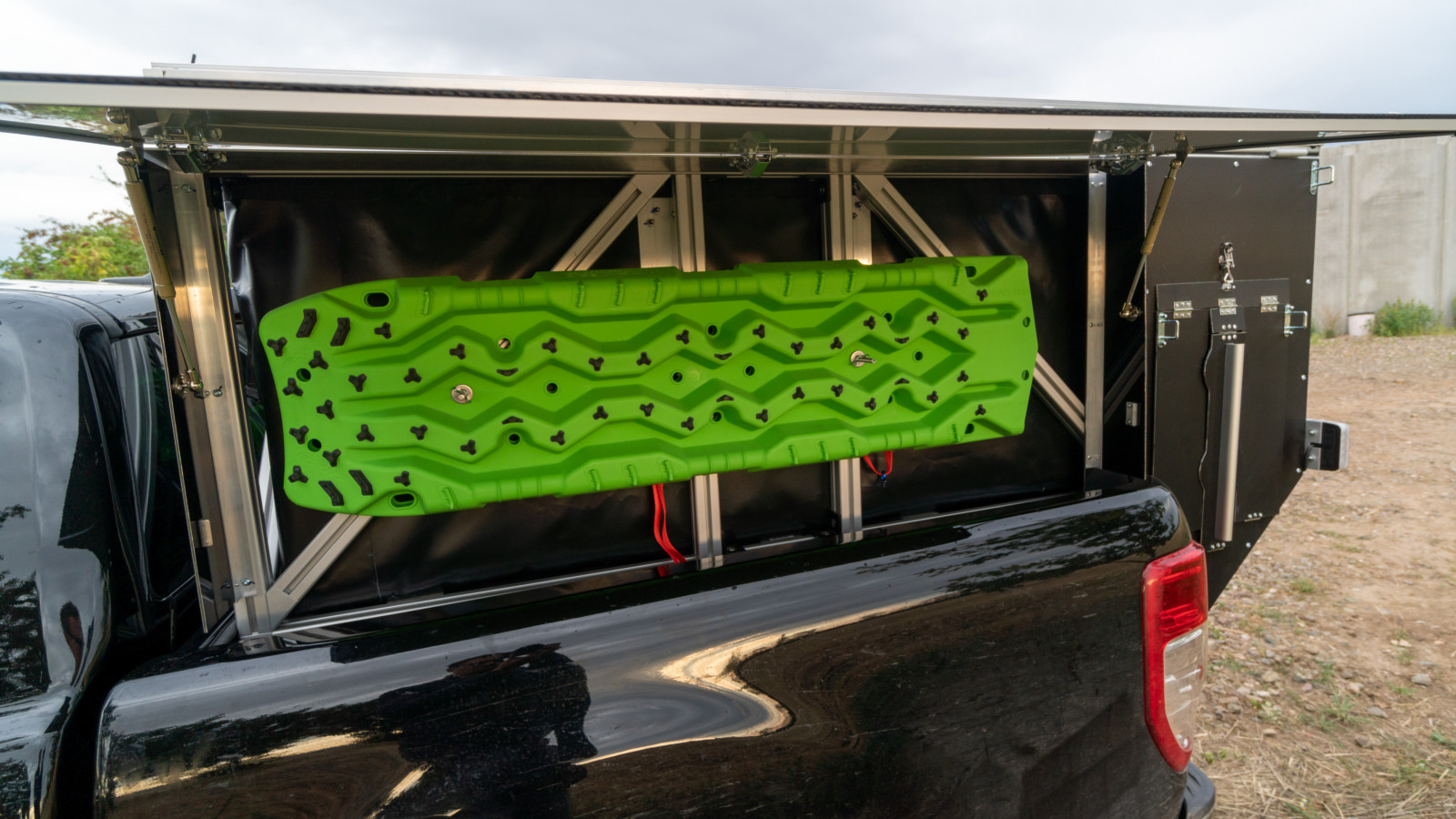 Apodemus 02 Transmantica